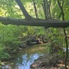 Земельні ділянки 1.87гас.СтопчатівКосівський район, фото 9