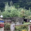 Продаж  Земля під інд. будівництво  Олександра Олеся, Миколаїв, фото 2