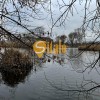 Ділянка з прямим виходом на воду, вул. Прирічна, 16 кВт, Осокорки, метро Славутич 9 км, фото 2