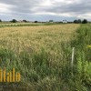 Продаю Земельну ділянку с г призначення . Чукалівка, фото 12