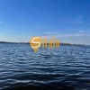 Кутова ділянка 6 соток, вул. Прирічна, Осокорки, метро Славутич 9 км, фото 16