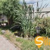 Оренда двоповерхого будинку Чапаєвка,Конча Заспа,Голосіївський рн., фото 26