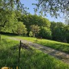 Будинок видовий с.Яблунів Косівського району, фото 29
