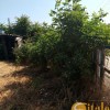 Продаж дачі с будинком, фото 2