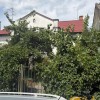 Продаж, будинок, Вахнянина, Львів, фото 7