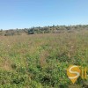 Продаж земельної ділянки, вулиця Кульпарківська,  Сокільники, місто Львів, фото 1