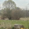 Продаж  Земля під інд. будівництво   Рудне, фото 4