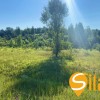 Ділянка біля гольфу та SPA Лісники, 2 хв пішки до Equides Club, Новообухівська траса, 10 соток, фото 5