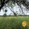 Земельна ділянка під житлову забудову с. Грушів Яворівський рн Львівська обл., фото 3