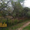 Будинок 33 сотих вул. Шереметис. Пядики, фото 6