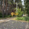 Двох поверховий будинок біля лісу, тиша та спокій. Гнідин  Без, фото 29