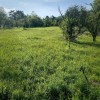 Земельна ділянка 54 сотихм.Яремче, фото 6