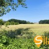 Фасад 60 м, траса Т 1006 35 соток під бізнеспромисловість, Підгірці, фото 14