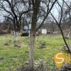 Продаж Земельна ділянка під садівництво  дача, забудова  м. Львів, вулиця Шевченка, фото 2