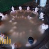 Продається Відпочинковий комплекс База відпочинку  Косів, фото 22