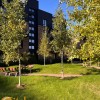 Стильна 2кімнатна квартира з авторським ремонтом у ЖК Клубне Містечко 12, фото 13