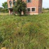 Не терміновий продаж  Будинок  20 сот 10 км до міста, фото 2