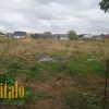 Будинок 33 сотих вул. Шереметис. Пядики, фото 14