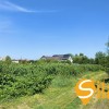 Ділянка 9,35 соток біля Olympic Village та Блакитного озера, 100 м до водного каналу, Підгірці, СТ Веселка, фото 13