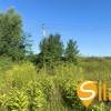 Ділянка біля гольфу та SPA Лісники, 2 хв пішки до Equides Club, Новообухівська траса, 10 соток, фото 9