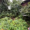 Продаж будинку з земельною ділянкою біля центральної дороги, фото 31