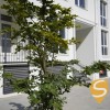 Продаж 4кімнатної дворівневої квартири,  Сокільники, Львів, фото 2