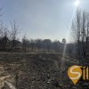 Продаж земельної ділянки під індивідуальне будівницство в Брюховичах, біля лісу, фото 5