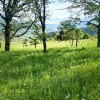 Земельна ділянка 54 сотихм.Яремче, фото 9