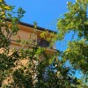 Продаж вілл і будинків в Чорногорії в барі br01375.3bd_s6592, фото 1