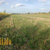 Продаю Земельну ділянку с г призначення . Чукалівка, фото 7