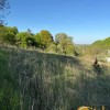 Продаж земельної ділянки в Брюховичах біля лісу, фото 6