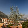 Продаж будинків в Чорногорії в Которі kt01404.2bd_s7446, фото 35