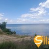 Ділянка під забудову в Сухолуччі біля лісу та води, фото 10