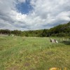 Продаж земельної ділянки біля лісу в с. Липники Пустомитівський рн, фото 1