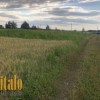 Продаю Земельну ділянку с г призначення . Чукалівка, фото 2