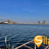 Ділянка з прямим виходом на воду, електроенергія 8 кВт, Закрита територія, Осокорки, метро Славутич 6 км, фото 14