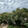 Продаж готелів в Чорногорії в Сутоморе st01135.h_s8053, фото 9