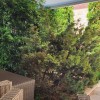 Продаж квартир в Чорногорії в Будві bd011.1bd_s8677, фото 12