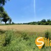 Фасадна земля під комерцію, промисловість на трасі Т1006, Підгірці, Новообухівський напрямок, 63 сотки, фото 12