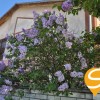 Оренда будинку на Осокорках 7 хв до м.Славутич пішки, фото 28