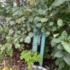 Продаж будинку з земельною ділянкою біля центральної дороги, фото 34