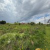Продаж земельної ділянки біля лісу в с. Липники Пустомитівський рн, фото 3