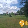 Ділянка під забудову в Сухолуччі біля лісу та води, фото 6