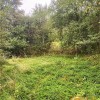 Продаж дачна ділянка село Рокитно Яворівський рн Львівська обл., фото 1