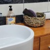 Продаж квартир в Чорногорії в барі br01300.2bd_s8927, фото 13