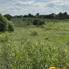 Продаж землі ОСГ, Сокільники, Львів, фото 3