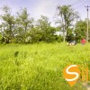пгт. Великая Дымерка        Садовая ул., 98, фото 10