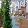 Оренда   3 кімнатної квартири ЖК Козацький, фото 3