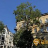 2 кімнатна квартира в самому серці Львова, вулиця Стефаника, фото 1