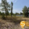 Ділянка з електроенергією в закритому кооперативі поруч озера Святище, Осокорки, фото 6